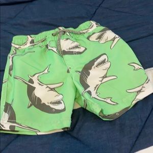 Swim 3T toddler boy bottoms